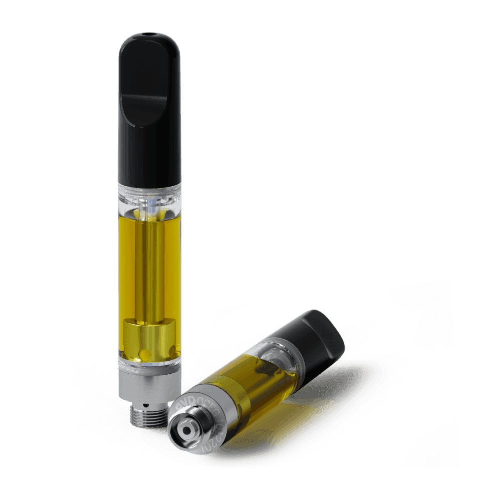 1 G Solventless Fatso Cartridge By Jetty